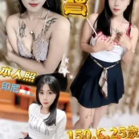 新北定點茶-蓓寶