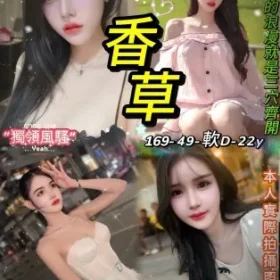 台北定點茶-香草