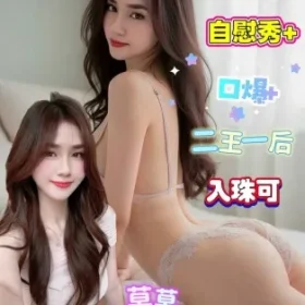 台南定點茶-莫莫